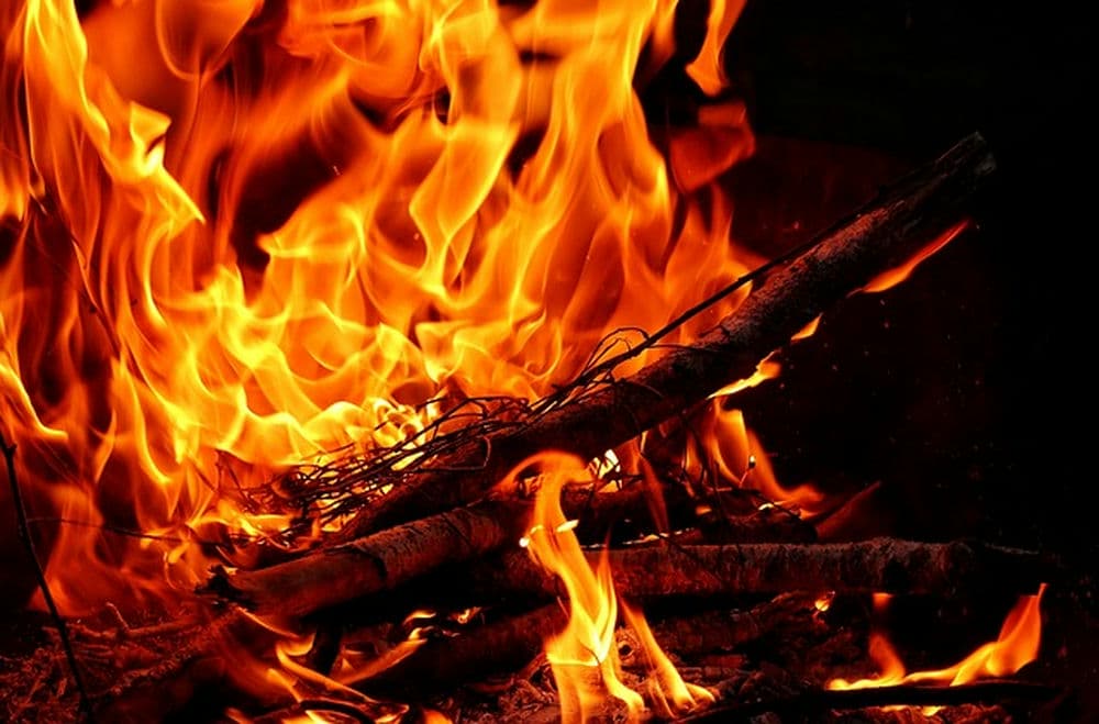 Ancestral money inheritance